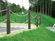 �ץ饹���å����å� ���������