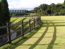 �ץ饹���å����å� ��150����