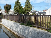 �ץ饹���å����å� �ĳʻҺ�