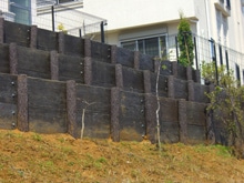 �ץ饹���å����å� ��α���